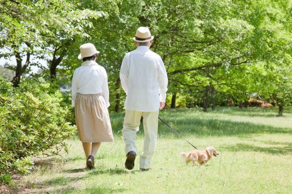 負担のない運動